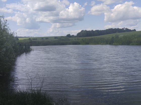 Здається в оренду ставок Черкассы