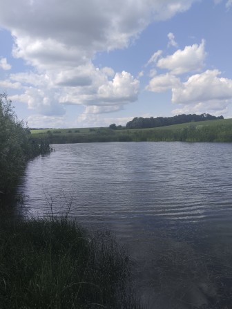 Здається в оренду ставок - фото 1