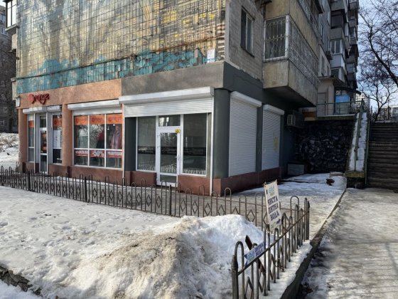 Фасад, 33 кв.м. бул. Миколи Міхновського 3-А Київ