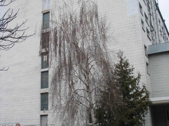 Оренда Укртелеком! 1751,80 м.кв, м.Київ, вул. Академіка Шалімова, 39/8