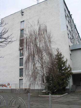 Оренда Укртелеком! 1751,80 м.кв, м.Київ, вул. Академіка Шалімова, 39/8 - фото 1