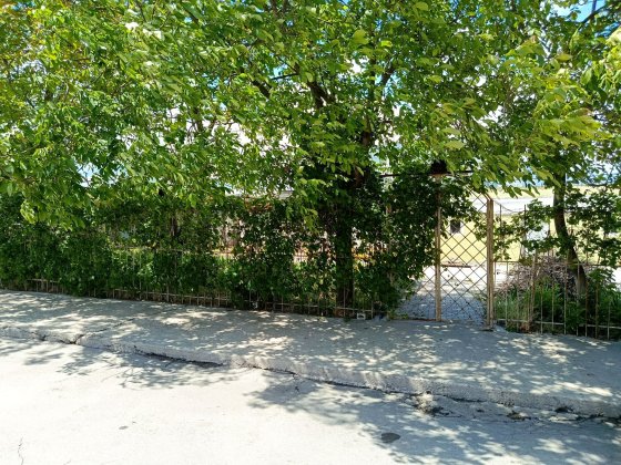 Летняя площадка, кафе, киоск Хортицкий Запоріжжя