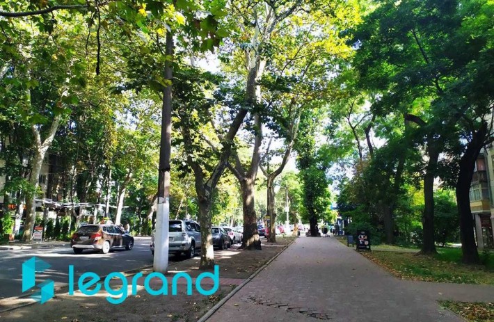 Помещение Шевченко/Приміщення Шевченка - фото 1