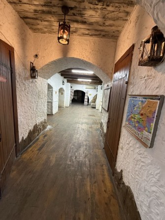 СДАМ! Легендарный ПОДВАЛ с ОДЕССКИМ характером!Центр! Привоз!225 м - фото 1