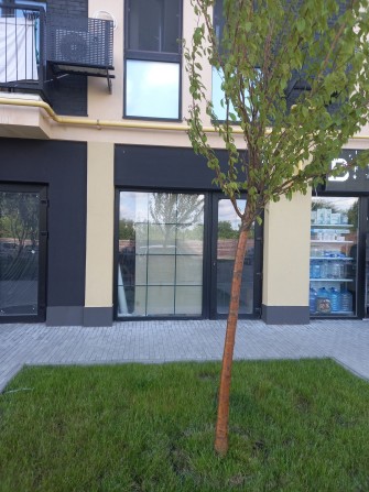 Оренда комерційного приміщення ЖК Білий шоколад Центр - фото 1