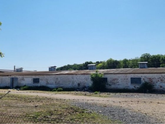 Ферма 1500 м² + 60 соток землі під оренду Шкарівка