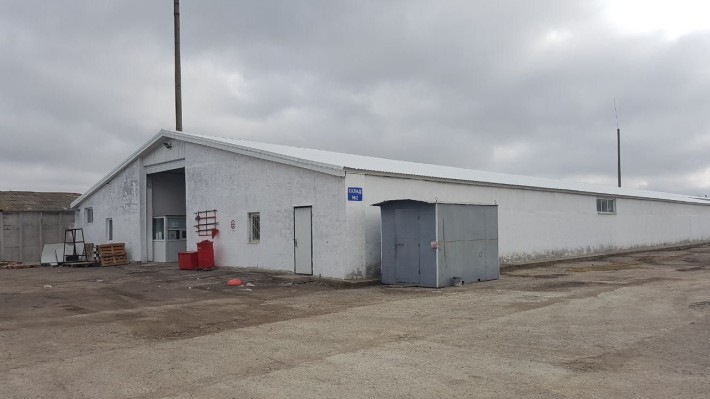 Здам під склад/виробництво 440–800 м² (Київська траса). - фото 1