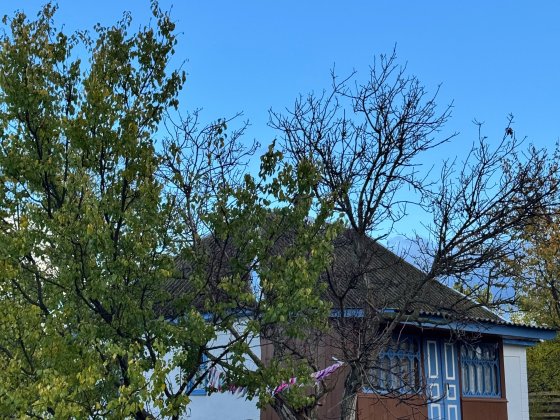 Подобова оренда хатинки біля Канева, Черкащина Канів