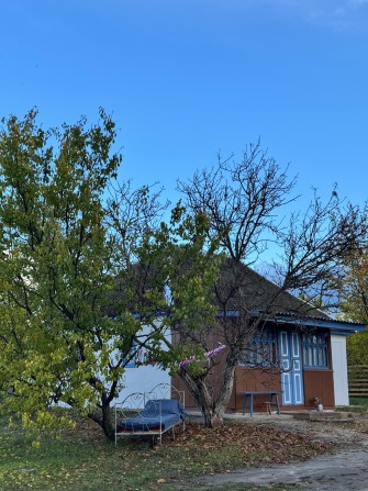 Подобова оренда хатинки біля Канева, Черкащина - фото 1