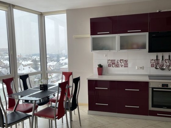 Панорамна новобудова в центрі, Обласна лікарня, Медгарден, Парк Шевчен Чернівці