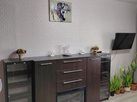 "Караван*ТРЦ посуточно 1 к.квартира два дивана Дніпро