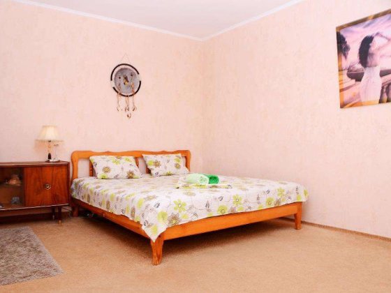 Уютная 1-комнатная квартира на Оболони, ПОЧАСОВО/посуточно, своя. Киев