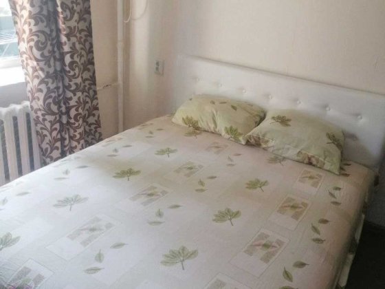 Комфортна однокімнатна квартира біля Палацу Україна подобово Київ