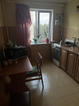 Шукаю сусідку для спільної оренди квартири - фото 1