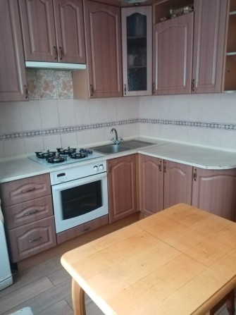 Без господарів.Академістечко, Ашан,Епіцентр,газ плита - фото 1