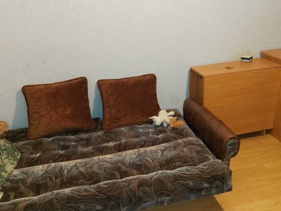 Здам кімнату лісовий масив Київ