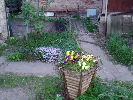 Сдам дом на длительный срок Високий