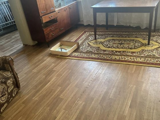 Сдам дом Малотарановка и Камышеваха ( частично удобства на улице)