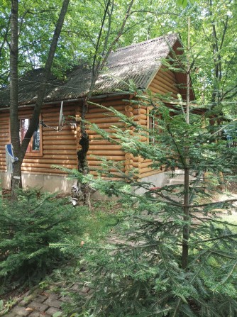 Здається будинок-сруб в затишному місці. - фото 1