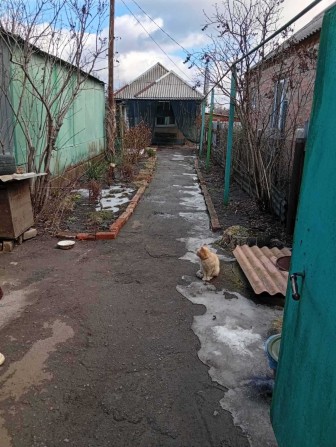 Аренда дома на Артема. - фото 1