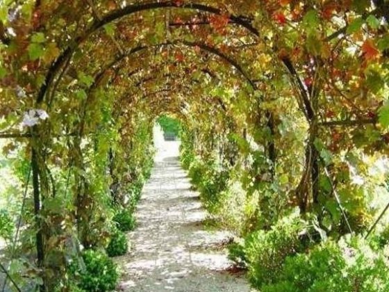 Сдам дом 3 к 70 м Рихтера /Туристская,,6 соток, гараж.Животных можно!