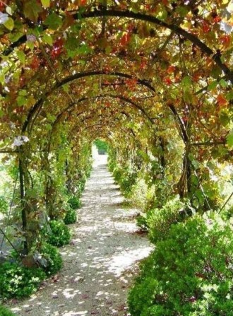 Сдам дом 3 к 70 м Рихтера /Туристская,,6 соток, гараж.Животных можно! - фото 1