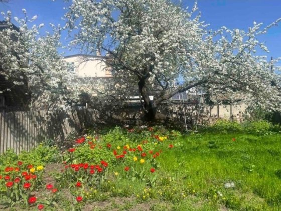 Сдам дом 3 к 60 м Кардонная/Рихтера гараж,сад, можно животных!