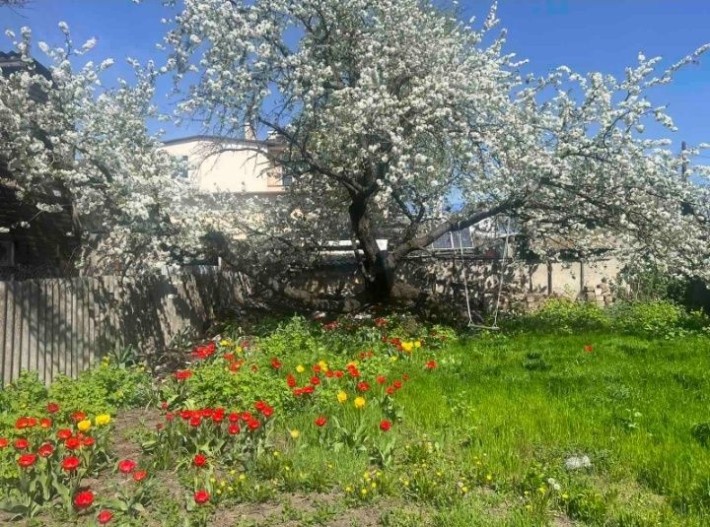 Сдам дом 3 к 60 м Кардонная/Рихтера гараж,сад, можно животных! - фото 1