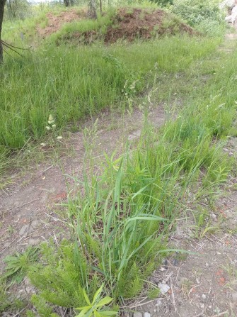 Будиночок для  тварин  передержки - до 150 тварин!, Київ. Здам - фото 1