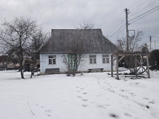 Здам будинок в оренду Косов