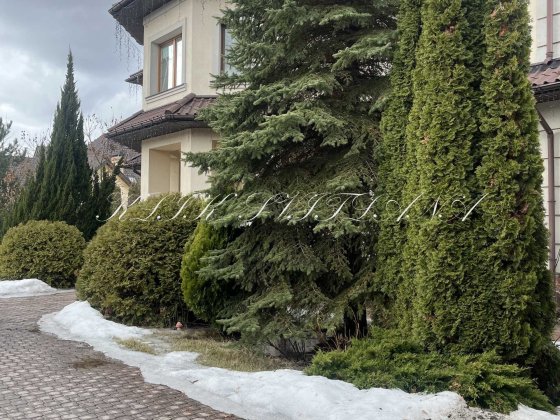 Здам Будинок с. Вишеньки КМ Золоче вихід до води поруч Дніпро Гнідин Вишенки