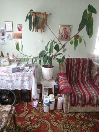 Дуплекс. Баришівка. у Київ. обл. Здам (оренда - під викуп) - фото 1