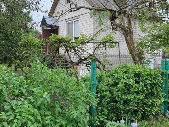 Дача срочно сдам Рожни