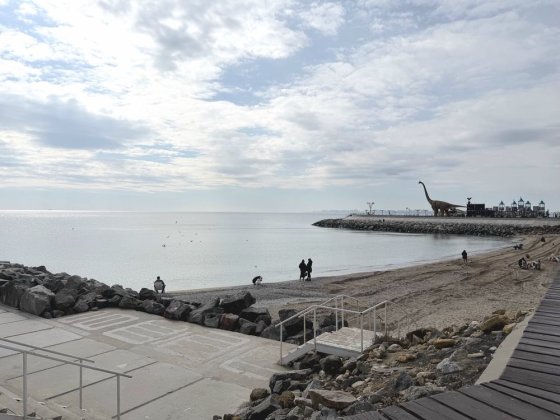 Дом в аренду Черноморская ривьера Фонтанка