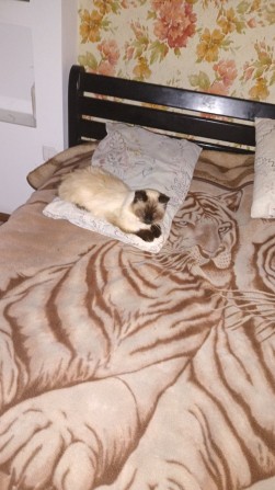 Оренда будинку в центрі міста - фото 1