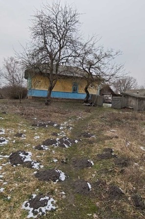 Оренда житлового будиноку с.Острів Надії - фото 1