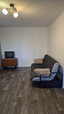 Аренда ДЛИТЕЛЬНО 1 комнатная квартира - фото 1