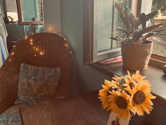 Однокімнатна квартира. Старе місто. Від власника Кам'янець-Подільський