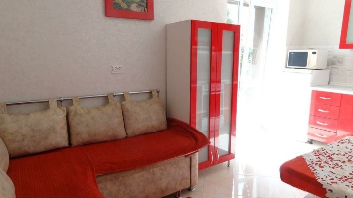 Здається на тривалий термін 1 кімнатна квартира центр новобудова Труск - фото 1