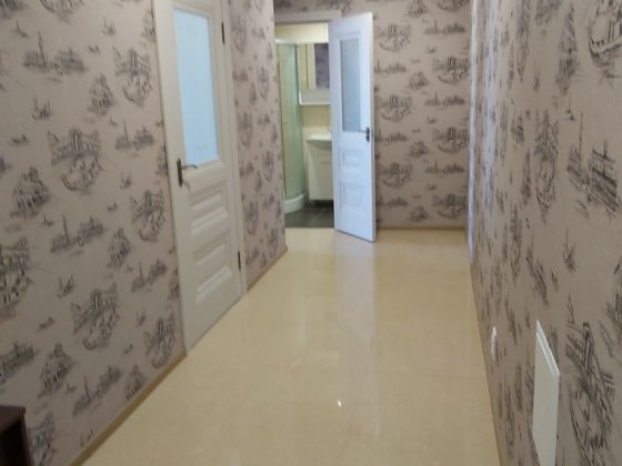 Сдам просторную однокомнатную квартиру  50 м.с.Фонтанка 6500гр. Фонтанка