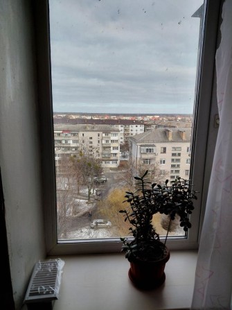 Здам 1-кім Квартиру по вул. Олімпійська - фото 1