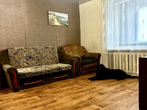 Оренда 1-но 17 квартал, 5/9, Меблі, Техніка Кривой Рог