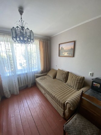 Оренда гуртижиток Східний - фото 1