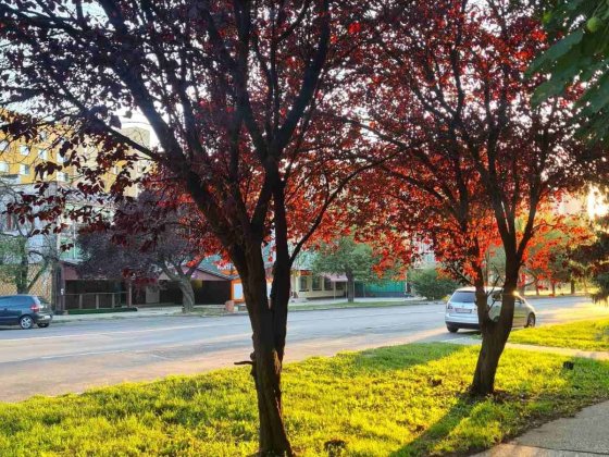 Здається в оренду квартира  в р-ні Минайської вул за Сільпо Ужгород