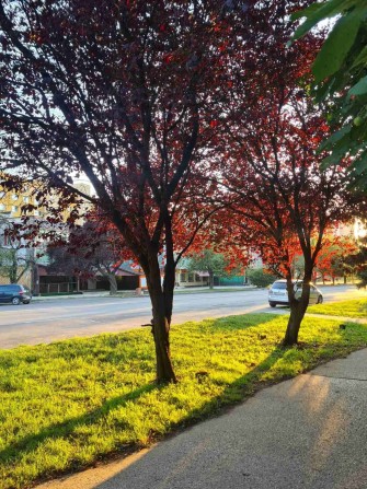Здається в оренду квартира  в р-ні Минайської вул за Сільпо - фото 1