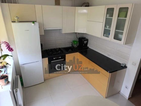 Здається велика квартира в Ужгороді Ужгород