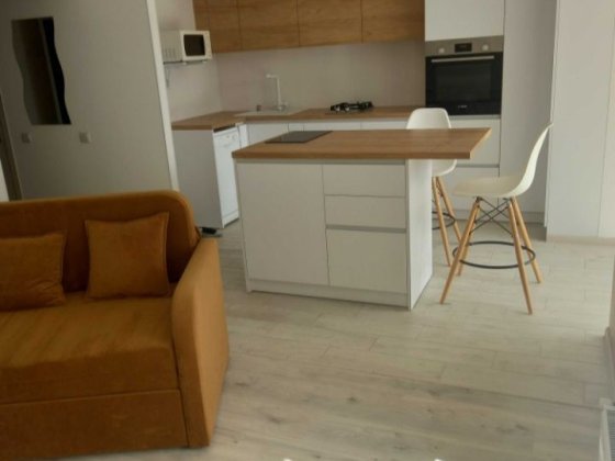 Сдам квартиру - студию с островом в районе Масаны от хозяина Чернигов