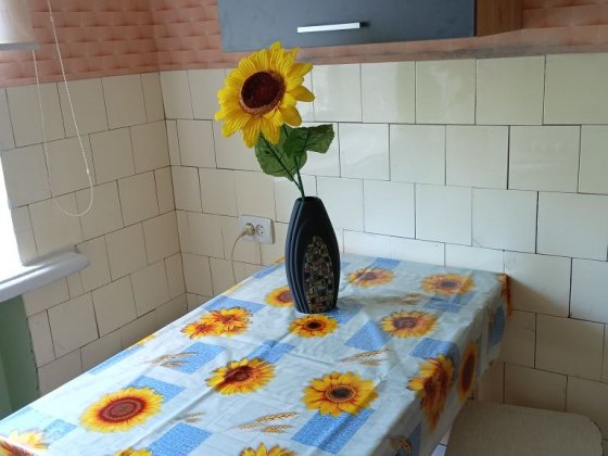 Здам в центрі, паркова зона квартиру з меблями, технікою, колонка нова Житомир