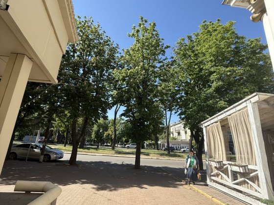 Здам 2х кім. Квартира Дм. Яворницького, ВЛАСНИК (парк Глоби) Дніпро