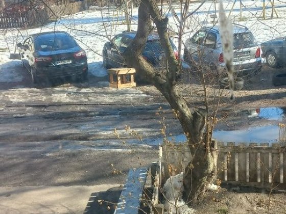 Здам 2х кім польва Житомир